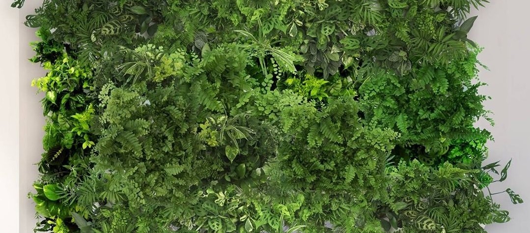 [Натали Серова] Вертикальное озеленение (2022)_0.jpg